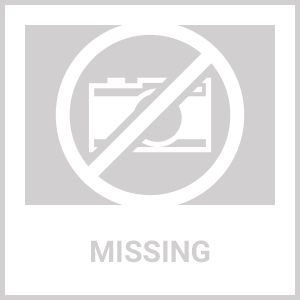 12-Ft Wooden Garden Bridge with Rails in Unfinished Fir Wood