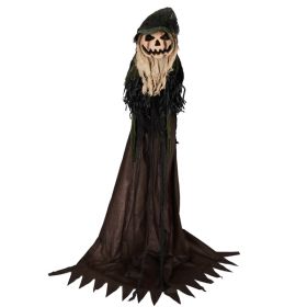 5.7ft Halloween Decorations Outdoor Life Size Animatronics Wizard with Pumpkin Face, Sound-Actived Party Decor with Creepy Sound